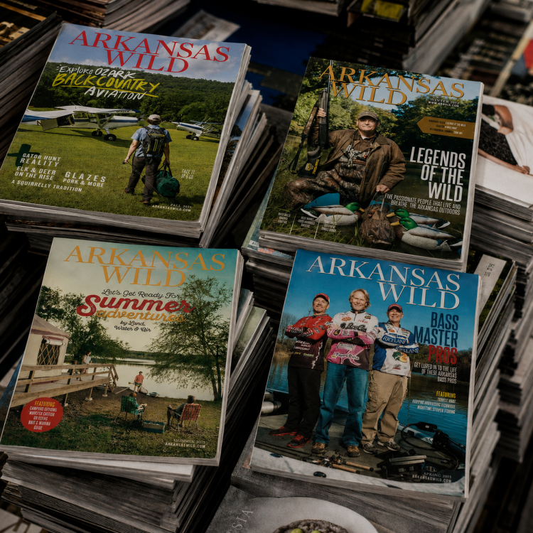 Arkansas-Wild-Magazine-Stacks-Photorealistic